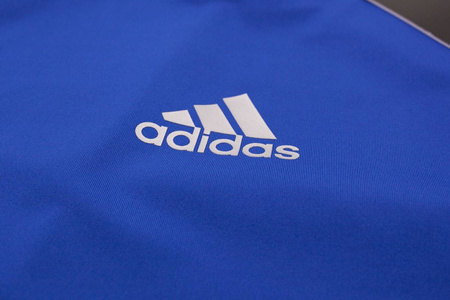 KOSZULKA ADIDAS ALPHASKIN TERMOAKTYWNA CW9488