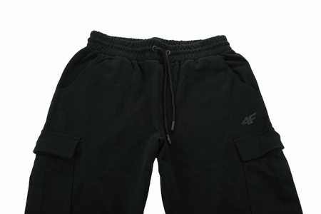 Spodnie męskie 4F bawełna D4Z20 SPMD303 20S