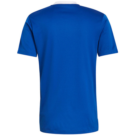 Koszulka męska adidas Tiro 21 Training GM7589