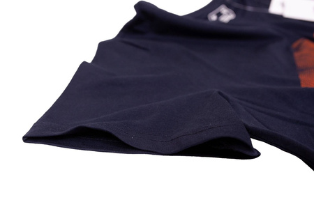 Koszulka męska 4F bawełna 100% H4L20 TSM032-31S