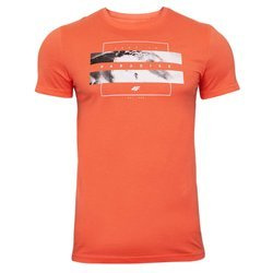 Koszulka męska 4F bawełna 100% H4L20 TSM035-64S