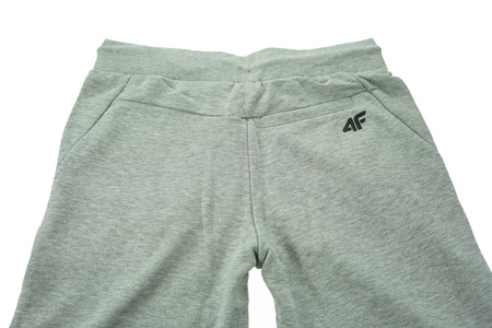 Spodnie męskie 4F bawełna NOSD4 SPMD301 27M