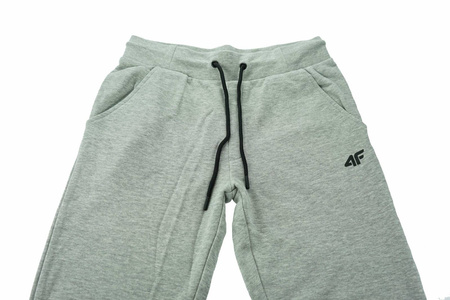 Spodnie męskie 4F bawełna NOSD4 SPMD301 27M