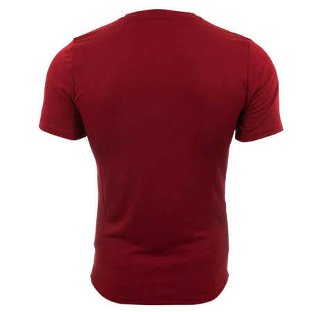 Koszulka męska Nike T-shirt Park VII 725891-677