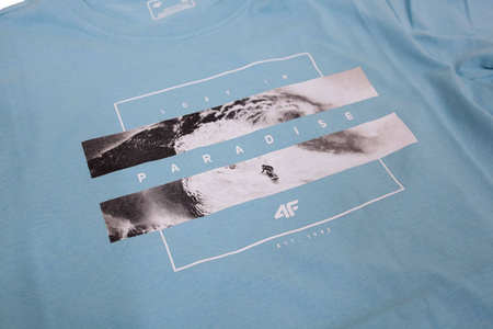 Koszulka męska 4F bawełna 100% H4L20 TSM035-47S