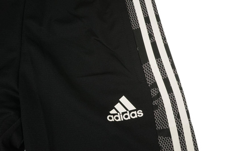 Spodnie męskie Condivo 21 Training Pant GE5423