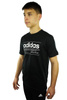 Koszulka dziecięca Adidas Youth Boys Basic FM0776