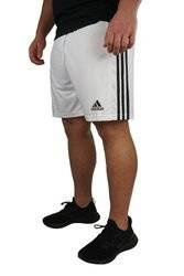 Spodenki męskie adidas Squadra 21 Short GN5773