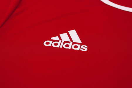Koszulka męska Adidas Entrada 18 CF1038