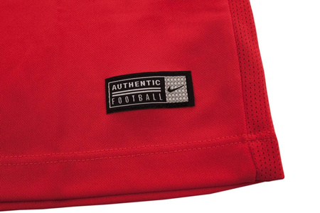 Koszulka męska Nike T-shirt Park VII 725891-657