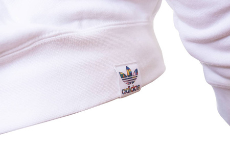 Bluza męska Adidas Flag Fill Hoody GD0956