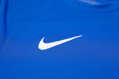 Koszulka męska Nike Dry Park 18 SS AA2046-463