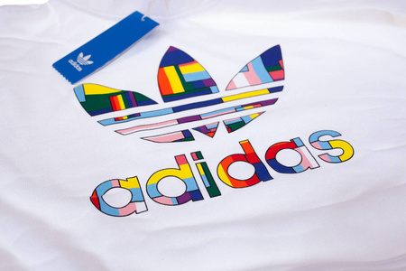 Bluza męska Adidas Flag Fill Hoody GD0956
