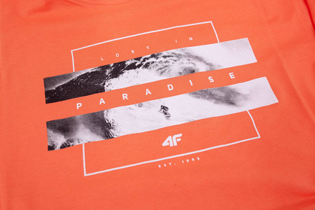 Koszulka męska 4F bawełna 100% H4L20 TSM035-64S