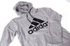 Bluza męska Adidas MH BOS PO FT DT9947