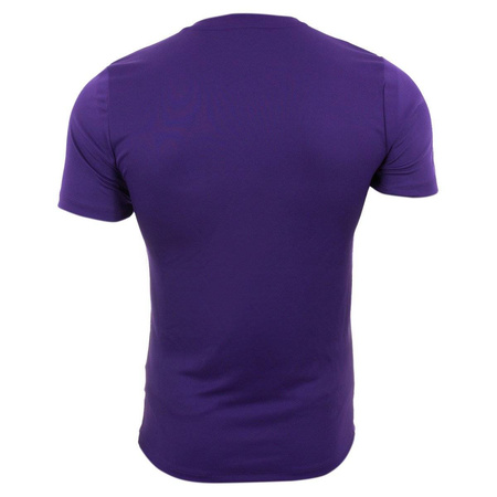 Koszulka męska Nike T-shirt Park VII 725891-547