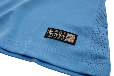 Koszulka męska Nike T-shirt Park VII 725891-412