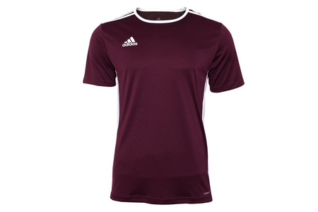 Koszulka męska Adidas Entrada 18 CD8430