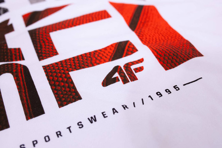 Koszulka męska 4F bawełna 100% HL420 TSM031-10S