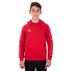 Bluza Adidas junior Core 18 Hoody CV3431