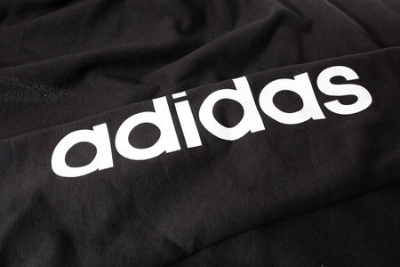 Bluza Damska Adidas W Essentials PLN FZ HD DP2401