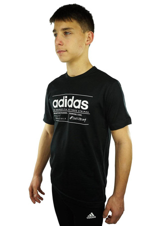 Koszulka dziecięca Adidas Youth Boys Basic FM0776