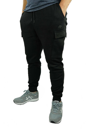 Spodnie męskie 4F bawełna D4Z20 SPMD303 20S