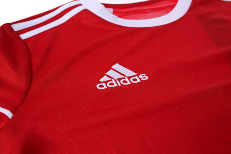 Koszulka Adidas junior Squadra 17 Jersey BJ9174