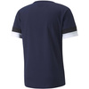 Koszulka męska Puma teamRISE Jersey 704932 06