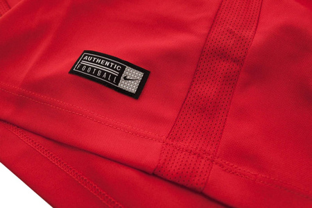 Koszulka męska Nike T-shirt Park VII 725891-657