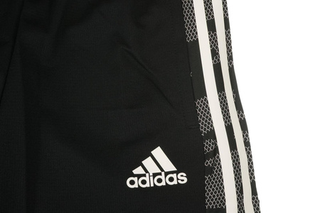 Spodnie męskie Condivo 21 Training Pant GE5423