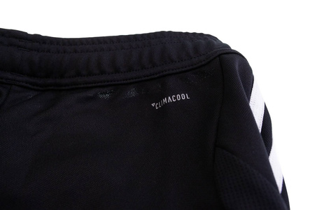 Spodnie damskie Adidas Tiro 19 Training D95957