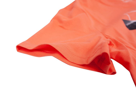 Koszulka męska 4F bawełna 100% H4L20 TSM035-64S