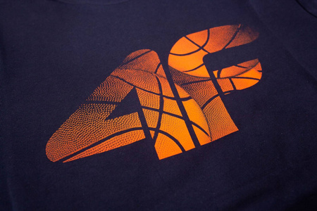 Koszulka męska 4F bawełna 100% H4L20 TSM032-31S