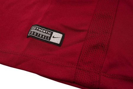 Koszulka męska Nike T-shirt Park VII 725891-677