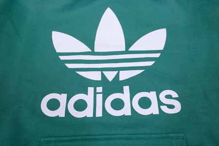 Bluza damska Adidas TRF Hoodie FM3297