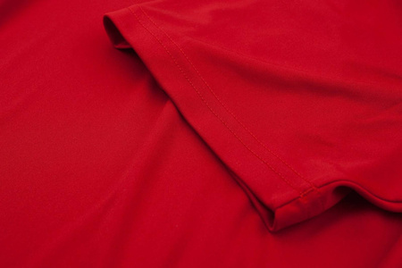 Koszulka męska Adidas Entrada 18 CF1038